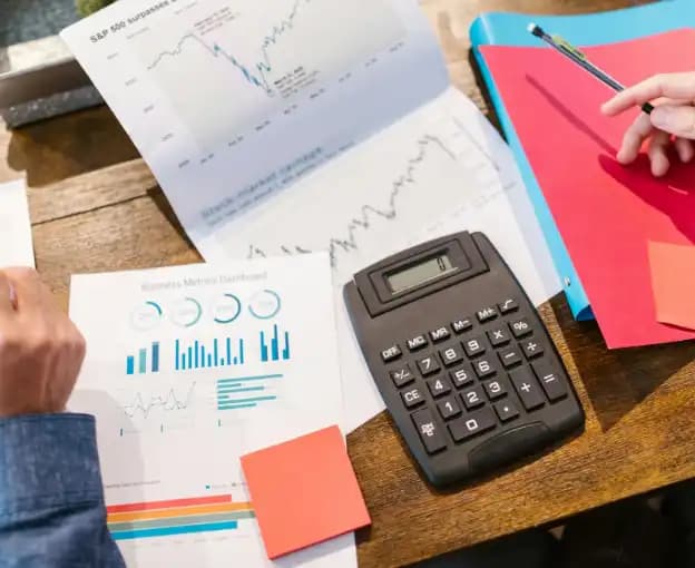 PPC ROI Analyst